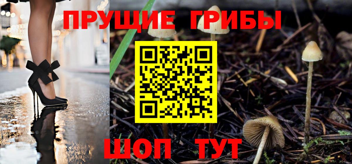 Галлюциногенные грибы MAGIC MUSHROOMS Сосновоборск