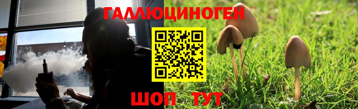 Галлюциногенные грибы GOLDEN TEACHER  Псилоцибиновые грибы Psilocybine cubensis  Сосновоборск  Вход с VPN 