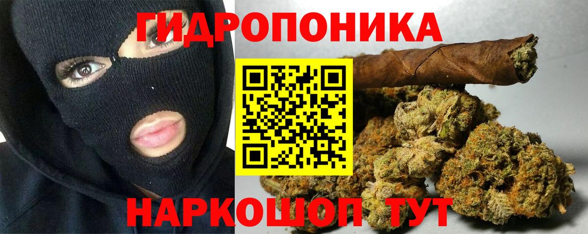 Шишки марихуана гибрид  МАРИХУАНА гибрид  Сосновоборск  Конопля VHQ  Вход с VPN 